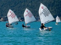 WG-20240907-3906 : Achensee, Opti, Regatta, SC TWV