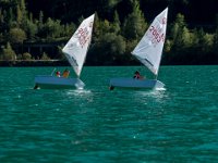 WG-20240907-3992 : Achensee, Opti, Regatta, SC TWV
