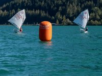 WG-20240907-4013 : Achensee, Opti, Regatta, SC TWV