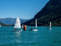 WG-20240907-4933 : Achensee, Opti, Regatta, SC TWV